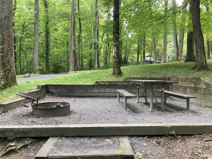 A photo of Site A03 of Loop A-Loop at COSBY CAMPGROUND with Table, Fire PitPicnic Area 