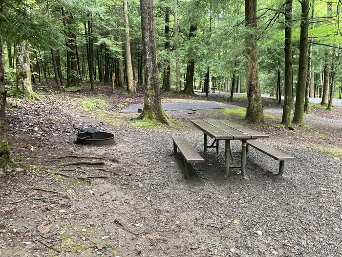 A photo of Site B13 of Loop B-Loop at COSBY CAMPGROUND with Picnic Table, Fire PitPicnic Area