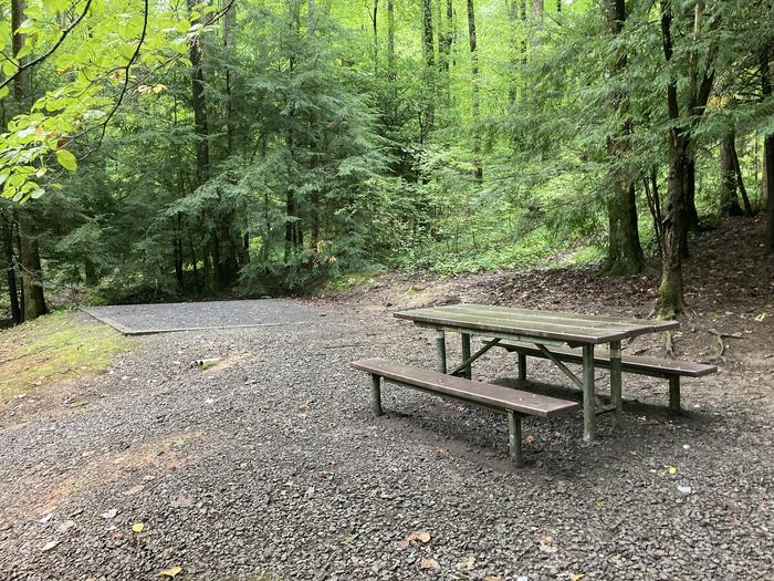 A photo of Site B13 of Loop B-Loop at COSBY CAMPGROUND with Picnic Table, Tent PadPicnic Table, Tent Pad