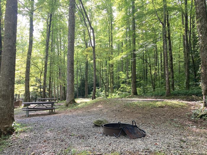 A photo of Site A56 of Loop A-Loop at COSBY CAMPGROUND with Picnic TableView from behind the fire pit 