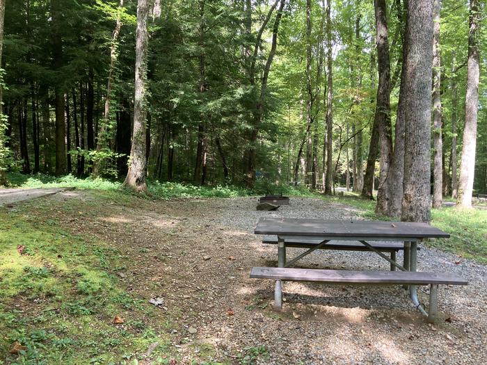 A photo of Site A56 of Loop A-Loop at COSBY CAMPGROUND with Picnic Table Fire PitPicnic area 