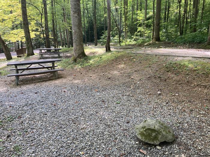 A photo of Site A56 of Loop A-Loop at COSBY CAMPGROUND with a Picnic Table, Tent PadA56