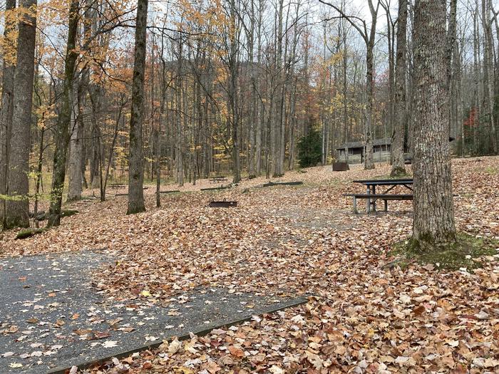A photo of Site A49 of Loop A-Loop at COSBY CAMPGROUND with Picnic Table, Fire Pit, Tent PadTent pad