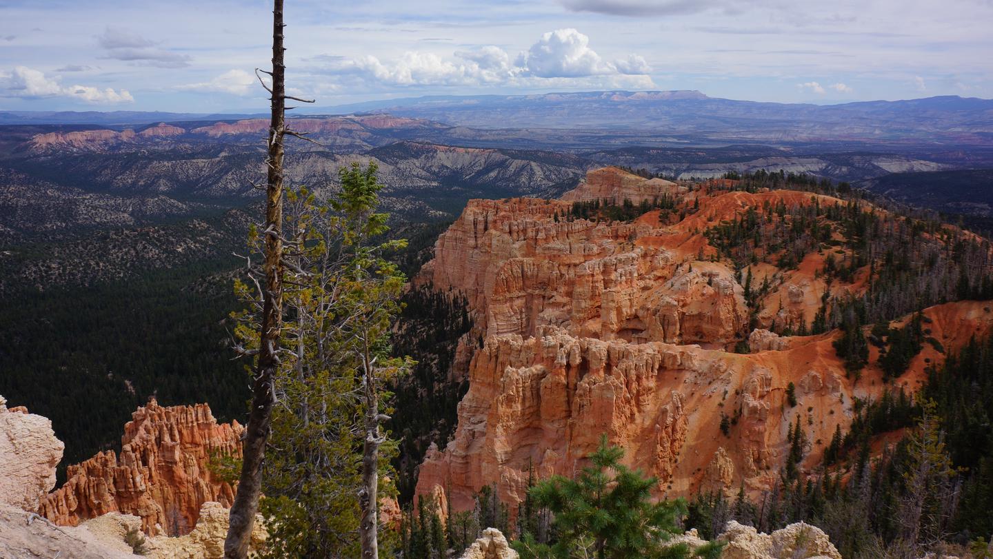 Distant view of pink and orange cliffs, pine trees and mountains.View descending the Under the Rim trail from the south end