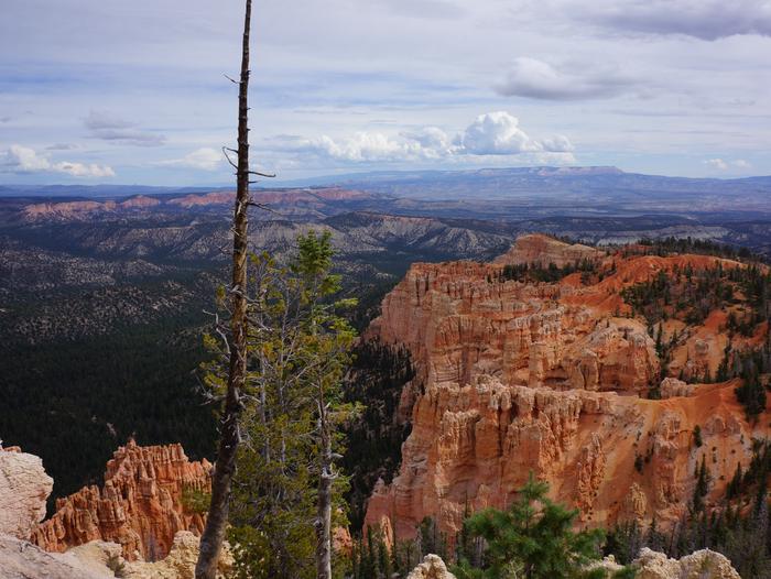 Distant view of pink and orange cliffs, pine trees and mountains.View descending the Under the Rim trail from the south end
