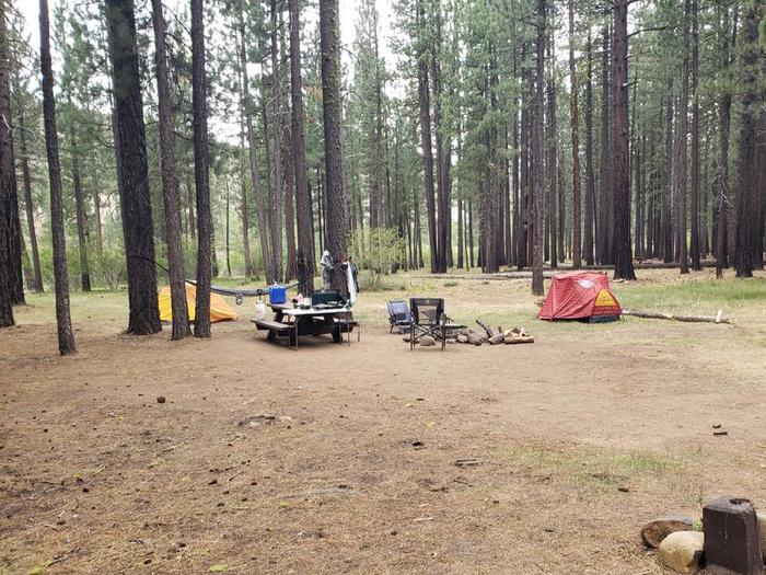Spacious campground within a grove of trees with some equipment, site features a picnic table and fire ring.Lone Rock Site 59