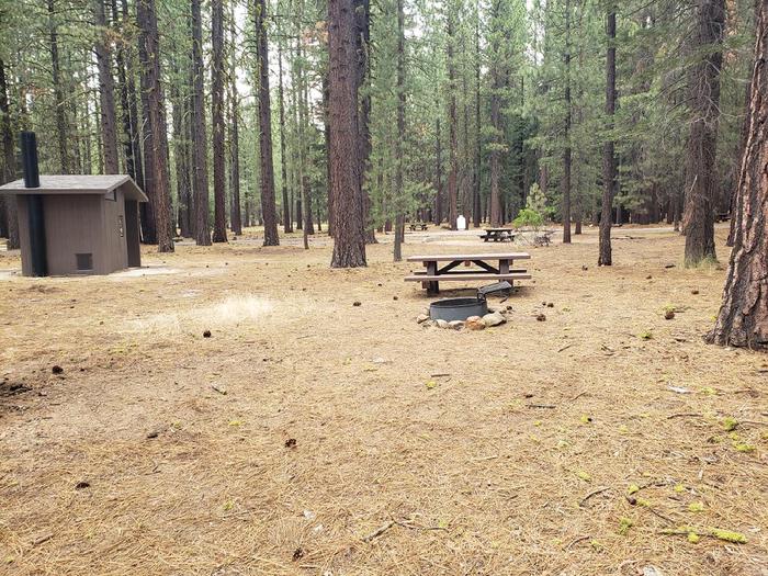 Spacious site near a vault toilet featuring a picnic table and fire ring.Lone Rock Site 61