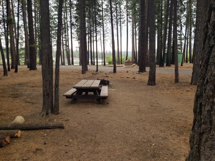 Spacious yet well-sheltered site near the car-top boat launch featuring a picnic table and fire ring.Lone Rock Site 65