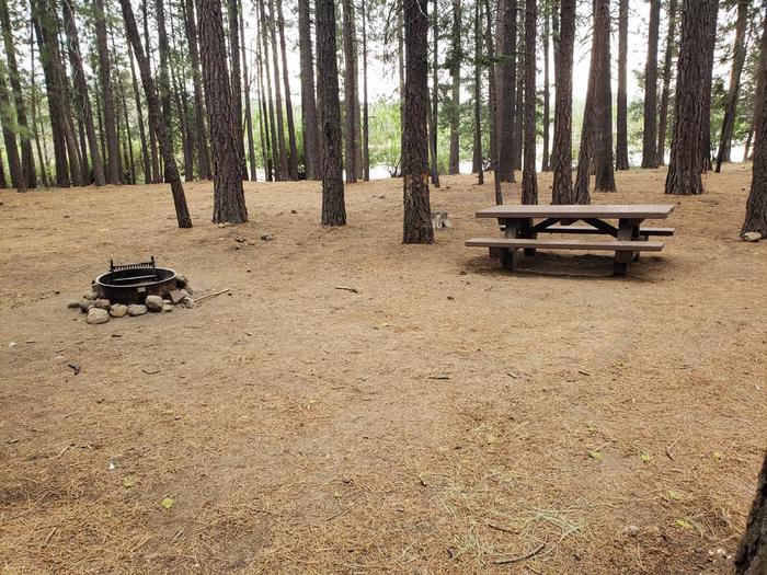 Well-sheltered site within a grove of trees near the water featuring a picnic table and fire ring.Lone Rock Site 67