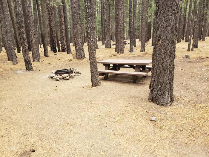 Well-secluded site within a grove of trees featuring a picnic table and fire ring.Lone Rock Site 71