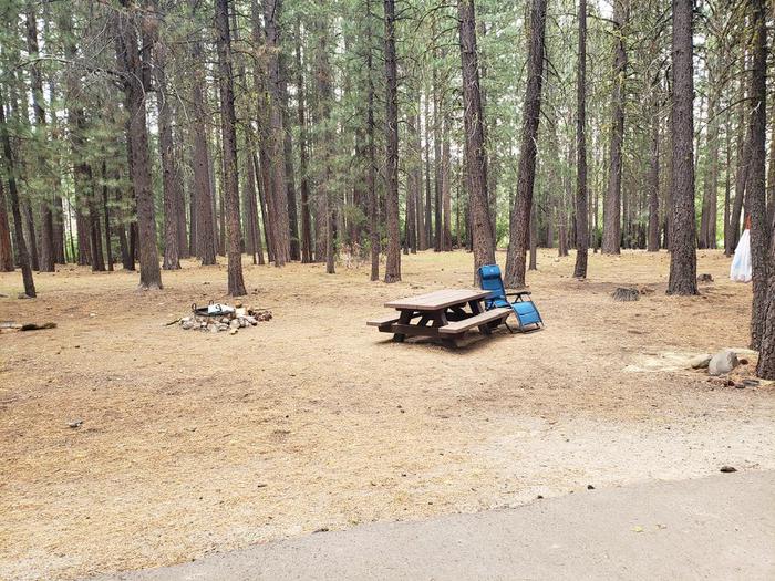 Very spacious campsite featuring a picnic table and fire ring.Lone Rock Site 72