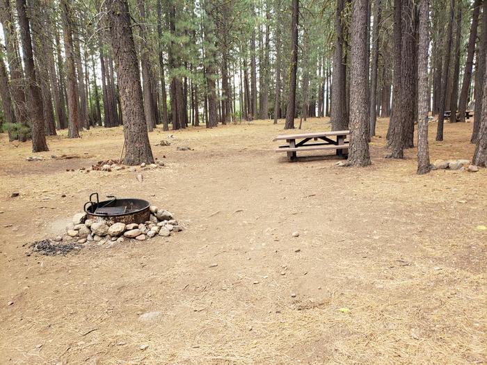 Spacious site featuring a picnic table and a fire ring.Lone Rock Site 74