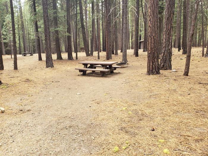 Well-secluded site featuring a picnic table and fire ring.Lone Rock Site 77