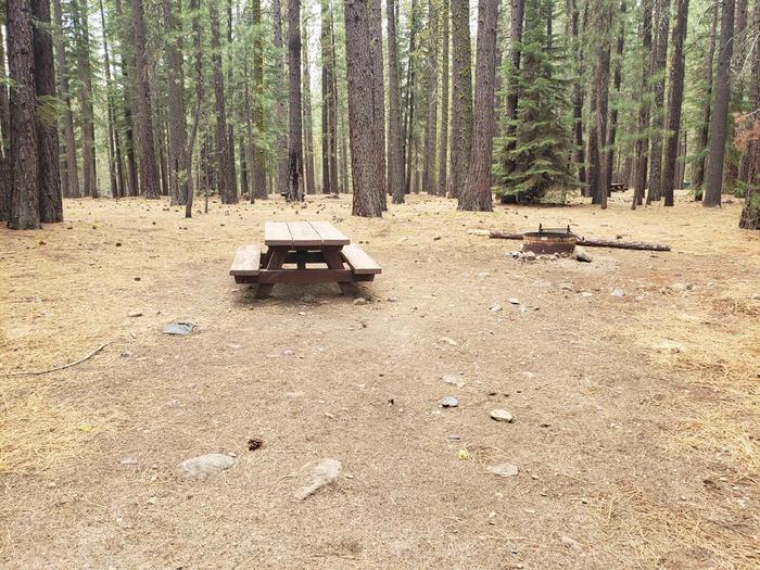 Spacious site with a picnic table, fire ring and growth of trees in the background.Lone Rock Site 79