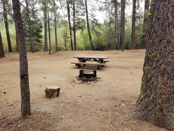 Spacious site with fire ring and picnic table near a vegetated waterline.Lone Rock Site 80