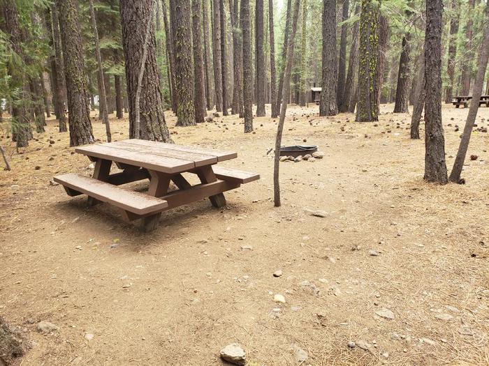Secluded site within a grove of trees featuring a picnic table and fire ring.Lone Rock Site 83