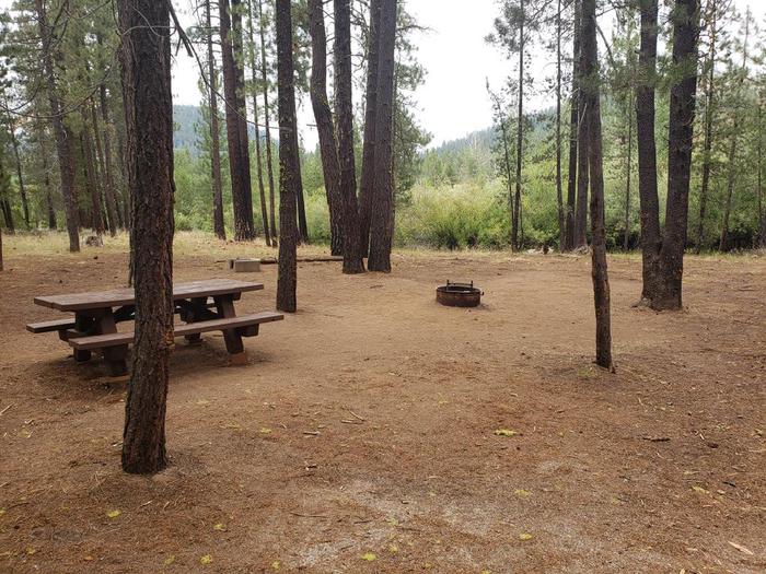 Spacious but shady site near vegetated waterline featuring a picnic table and fire ring.Lone Rock Site 84