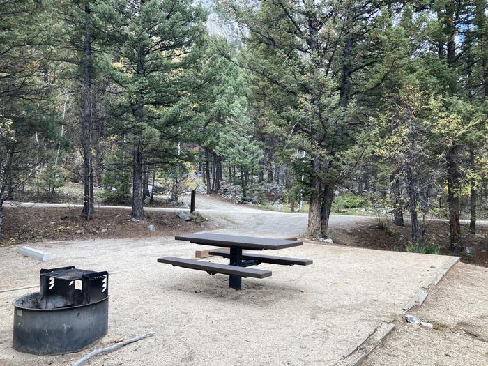 A photo of Site 008 with Picnic Table, Fire PitA photo of Site 008 of Loop CASC at CASCADE (COLORADO) with Picnic Table, Fire Pit