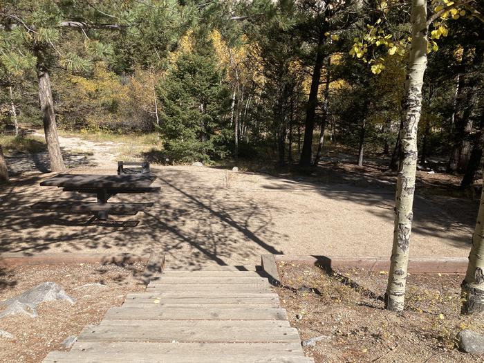 Campsite in the forest with wooden steps leading down to it.A photo of Site 013 with Picnic Table and Fire Pit