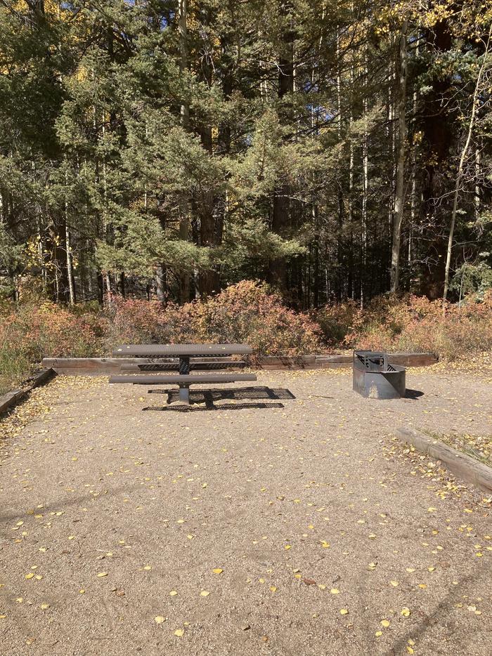 Campsite with trees, picnic table and fire pitA photo of Site 020 with Picnic Table, Fire Pit