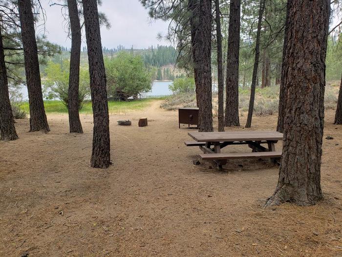 Pleasant site with picnic table, fire ring and bear box near the water line. Long Point Site 1