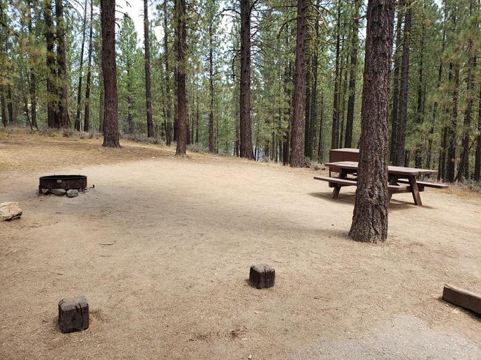 Spacious site surrounded by grove of trees featuring a picnic table, fire ring and bear box.Long Point Site 4