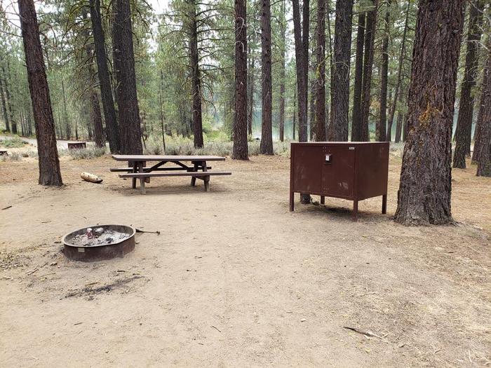 Small site with picnic table, fire ring and bear box not far from the water.Long Point Site 5