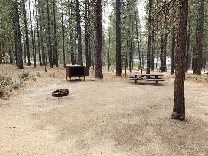 Spacious site with picnic table, fire ring and bear box with a view of trees and the water.Long Point Site 8