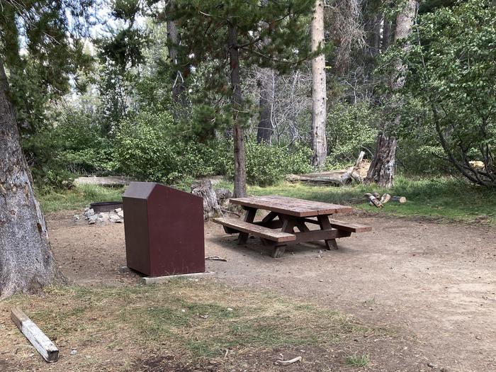 Gold Lake Campground, site 6Shady Campsite with lake access. High clearance recommended.
