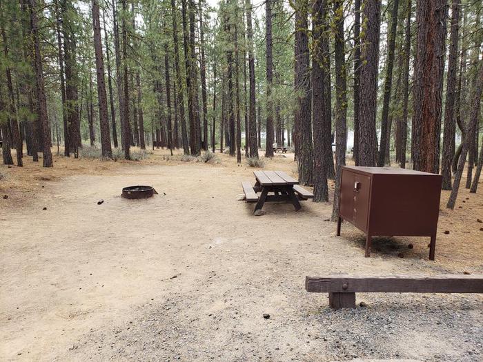 Site with picnic table, fire ring and bear box with trees surround the siteLong Point Site 11