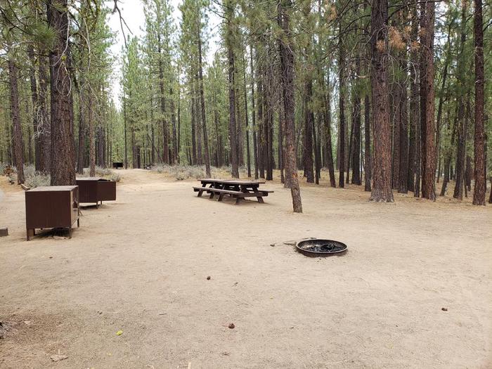 Spacious double site sheltered by a grove of trees featuring picnic tables, bear boxes and a fire ring.Long Point Sites 12 + 13