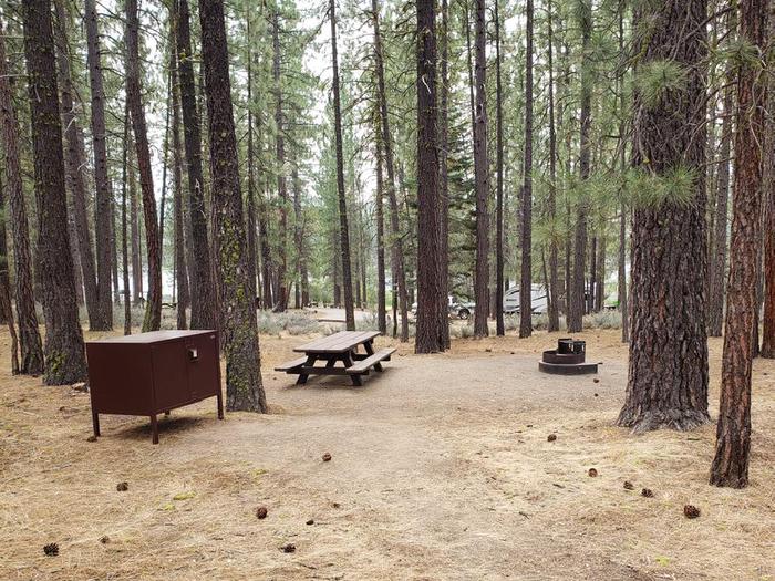Well-sheltered site within a growth of trees featuring a picnic table, bear box and fire ring.Long Point Site 14