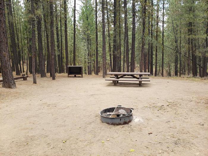 Spacious site with a grove of trees in the background featuring a picnic table, bear box and fire ring.Long Point Site 15