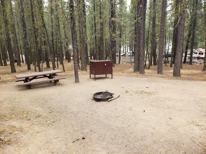 Spacious site with view of other sites that also features a picnic table, fire pit and bear box Long Point Site 19