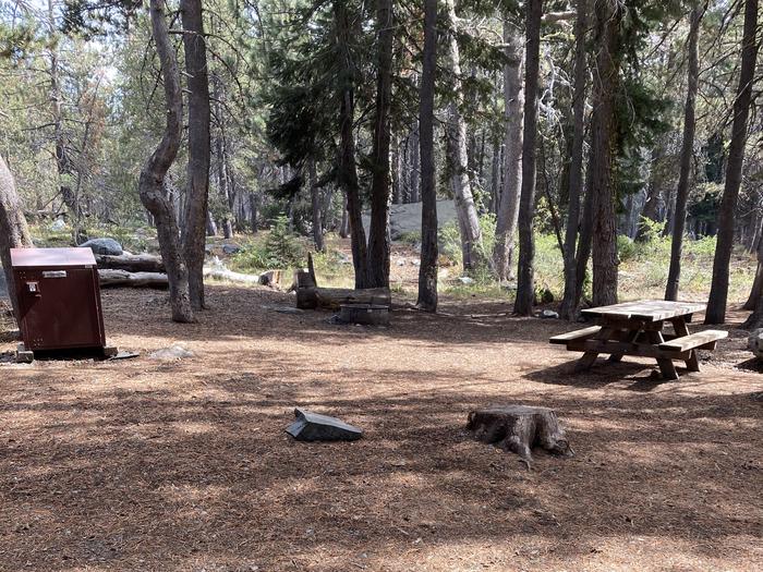 Gold Lake Campground, site 28Campsite with shade mornings and evenings. High clearance recommended.