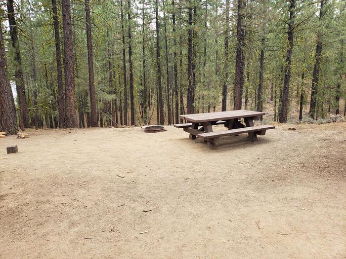 Spacious site with picnic table, fire ring and bear box.Long Point Site 20