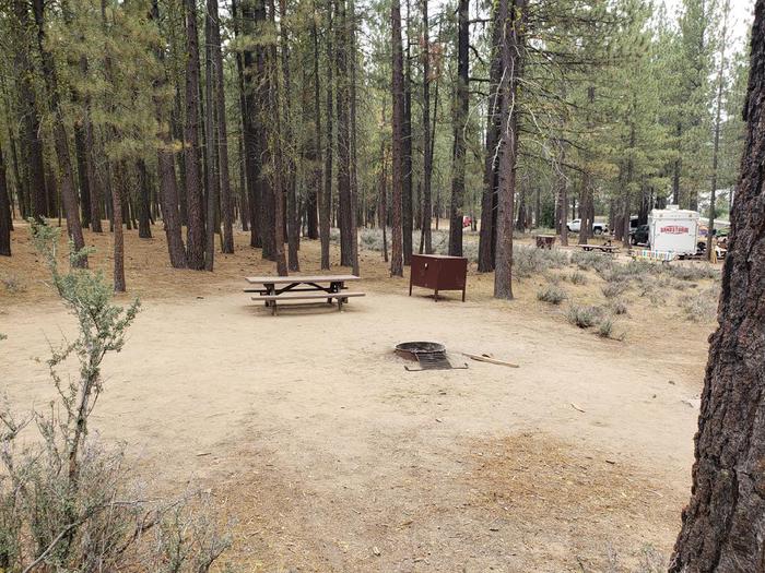 Spacious site with picnic table, fire ring and bear boxLong Point Site 21