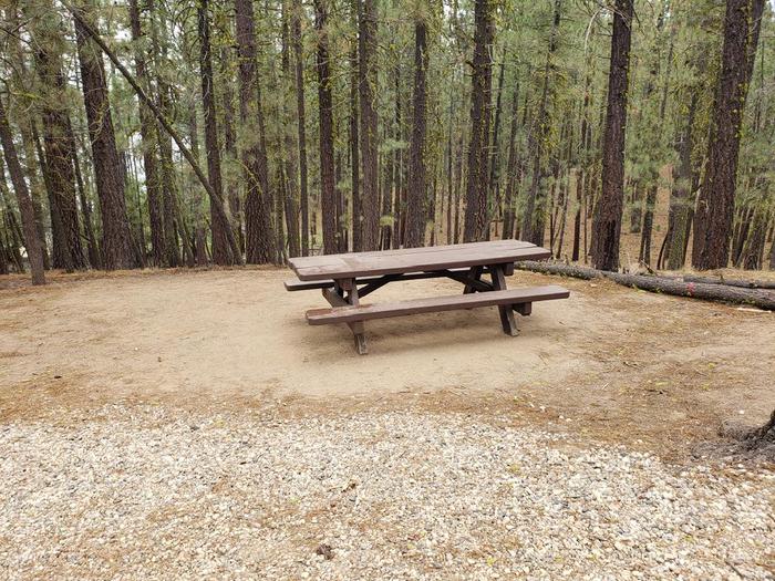 Spacious site with a log boarder featuring picnic table.Long Point Site 22