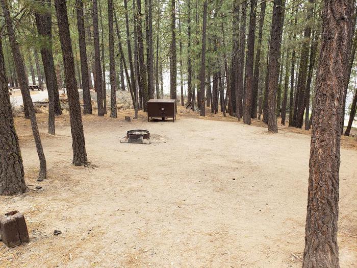 View of site 22, displaying bear box and fire ring.Long Point Site 22