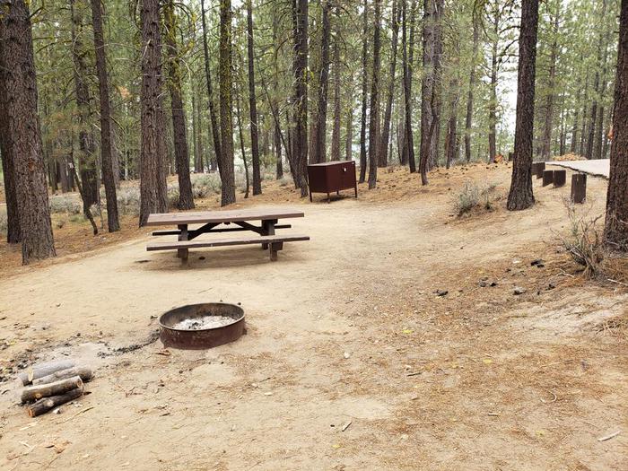 Compact site with fire ring, picnic table and bear box.Long Point Site 23