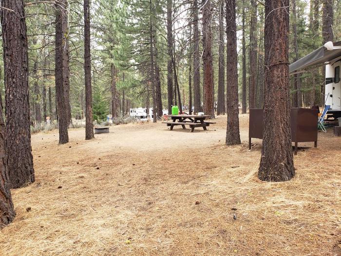 Spacious site featuring a picnic table, fire ring and bear box with room for a trailer.Long Point Site 31