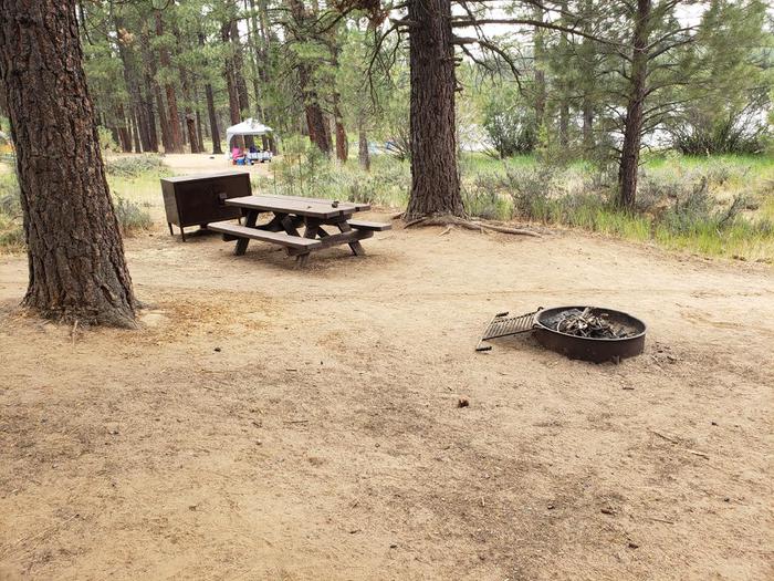 Spacious site with picnic table, fire ring and bear box.Long Point Site 33