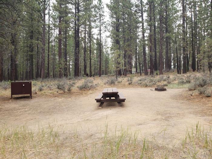 Spacious site with trees surrounding features a picnic table, fire ring and bear box.Long Point Site 38