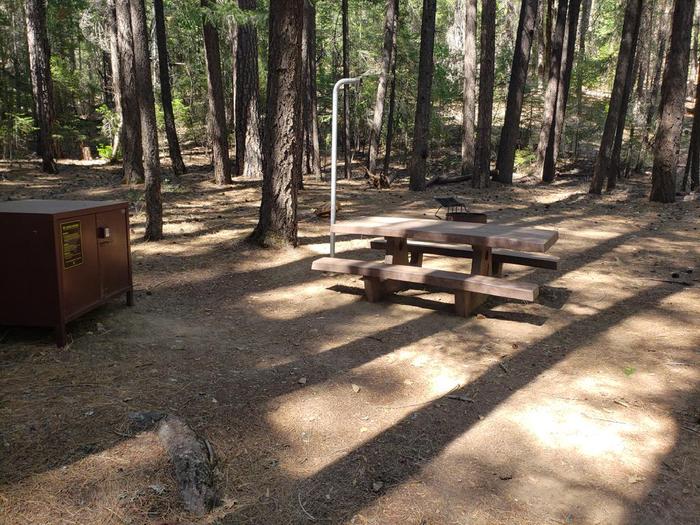 Well sheltered site featuring a picnic table, fire ring, bear box, and lantern holder.Halstead Site 2