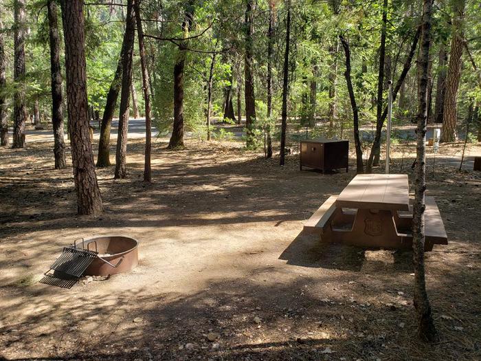 Spacious site with blend of sun and shade that features a picnic table, fire ring, bear box, and lantern holder.Hallsted Site 4