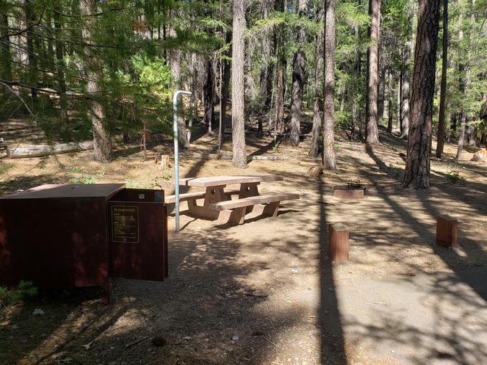 Sunlit site featuring a picnic table, fire ring, bear box, and lantern holder.Hallsted Site 5