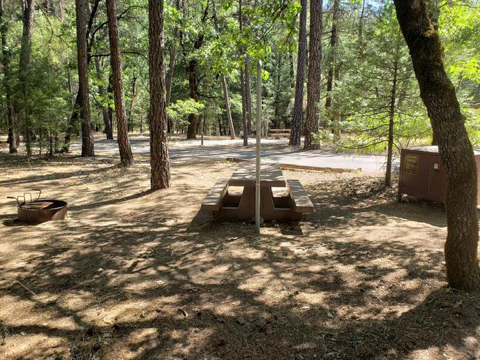 Site balanced between sun and shade featuring a picnic table, fire ring, bear box, and lantern holder.Hallsted Site 6