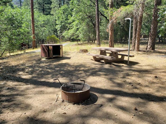 Spacious site with a mix of sun and shade featuring a picnic table, fire ring, bear box, and lantern holder.Hallsted Site 7