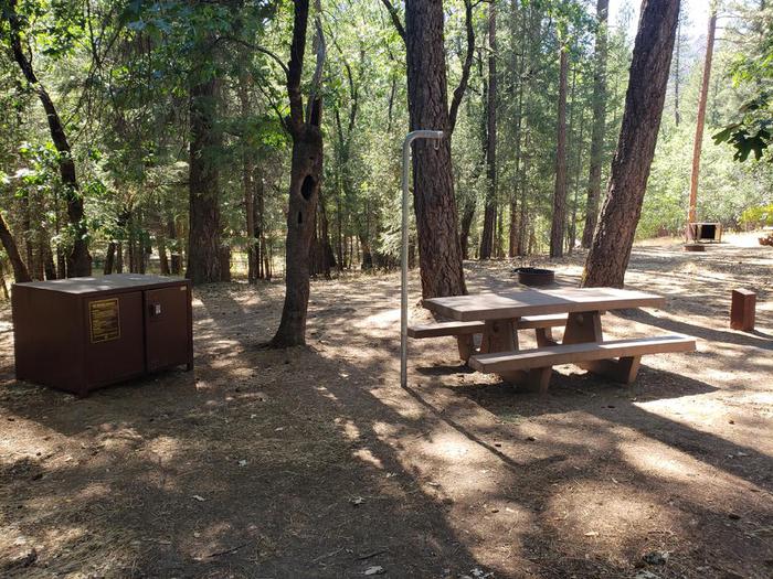 Well-shaded site featuring a picnic table, fire ring, bear box, and lantern holder.Hallsted Site 8