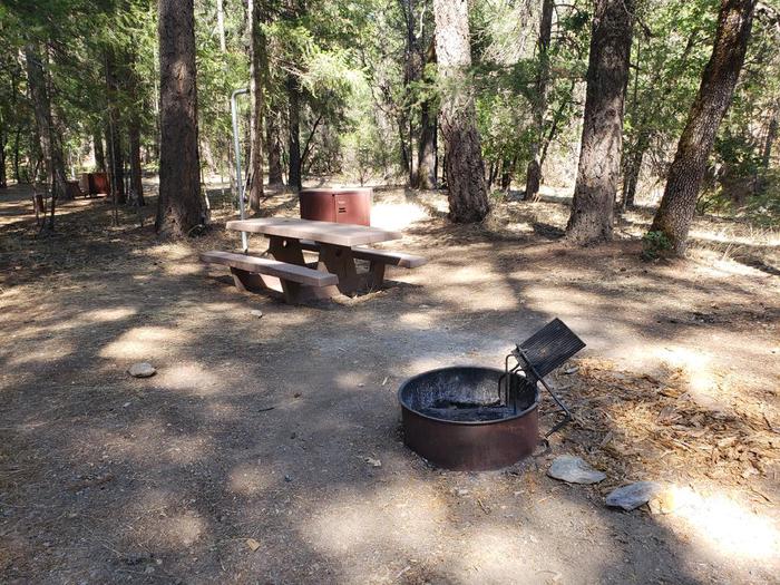 Site with a mix of sun and shade featuring a picnic table, fire ring, bear box, and lantern holder.Hallsted Site 10